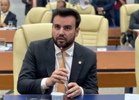 Plenário aprova iniciativa para redução de ilhas de calor, após chuva arrancar gramas sintéticas de canteiros centrais
