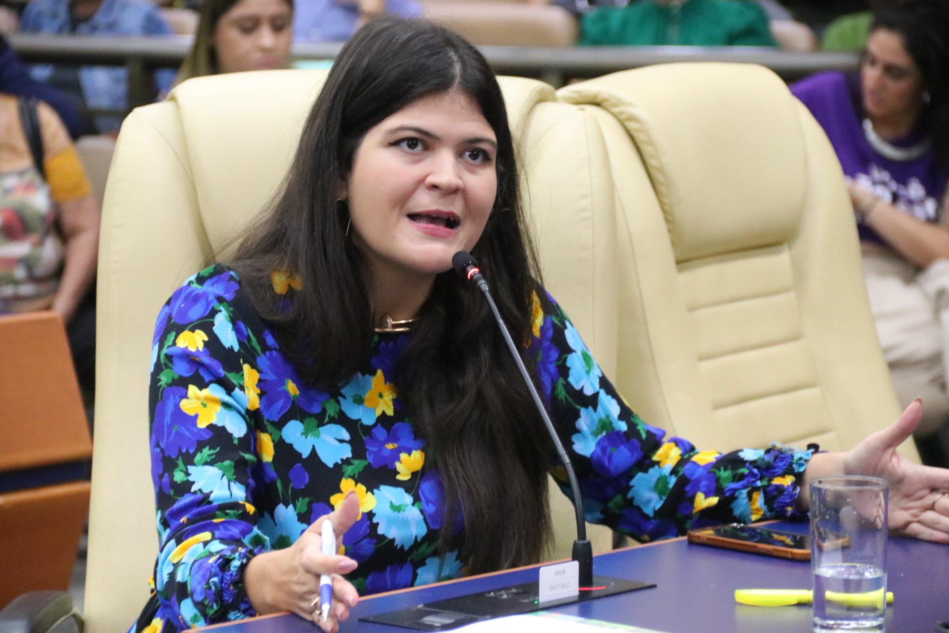 Plenário aprova garantia de leitos hospitalares separados para mães de natimortos ou com óbito fetal