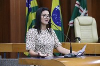 Plenário aprova divulgação da "Entrega Legal" de recém-nascidos para adoção