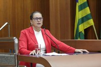 Programa municipal Agente Jovem Ambientalista é aprovado pela CCJ