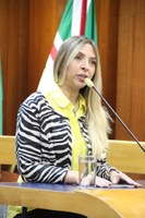 Projeto de lei sugere avisos sobre manutenções em brinquedos infantis