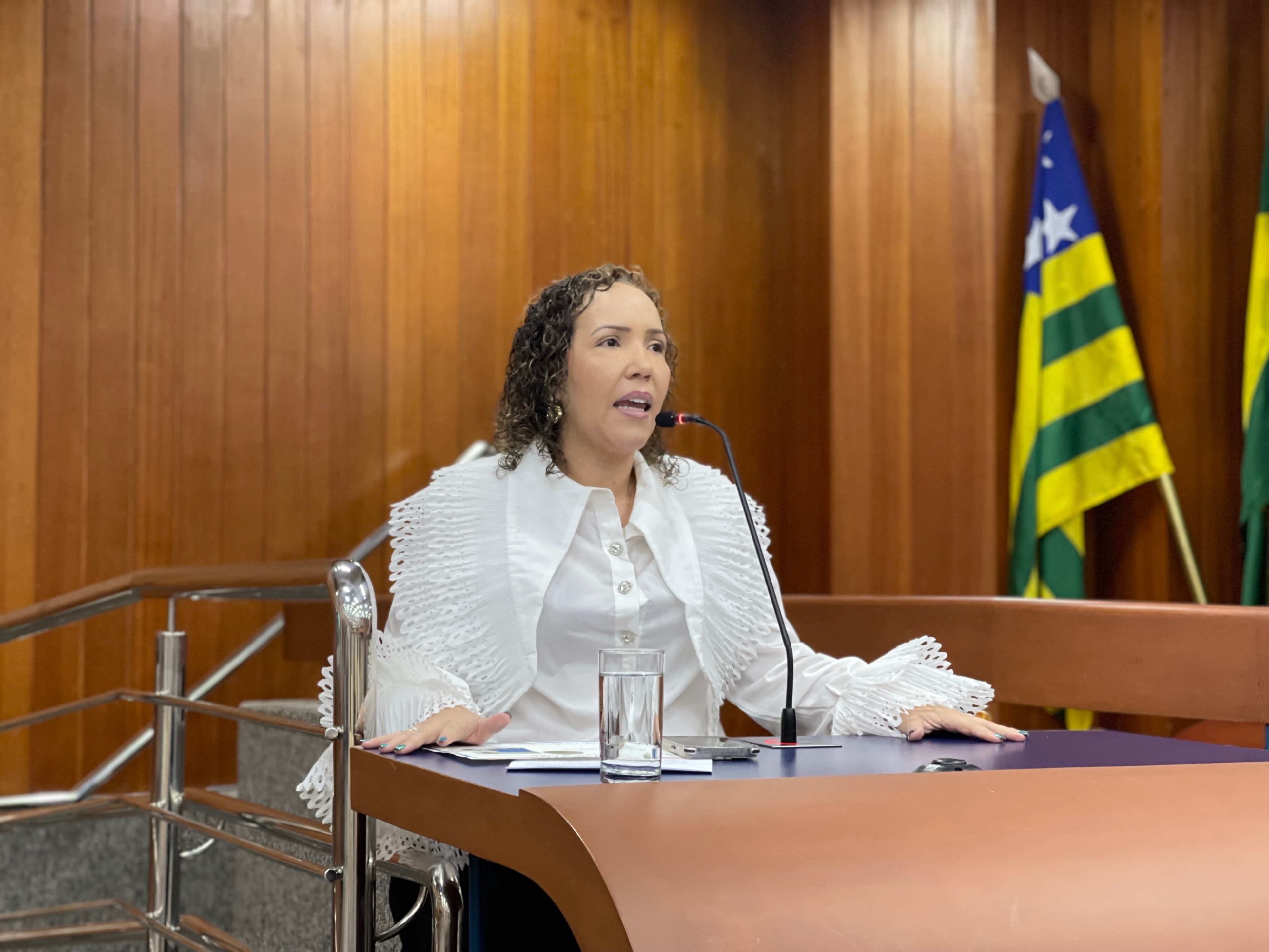 Daniela da Gilka propõe programa de capacitação gratuita para Organizações da Sociedade Civil