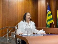 Daniela da Gilka propõe programa de capacitação gratuita para Organizações da Sociedade Civil