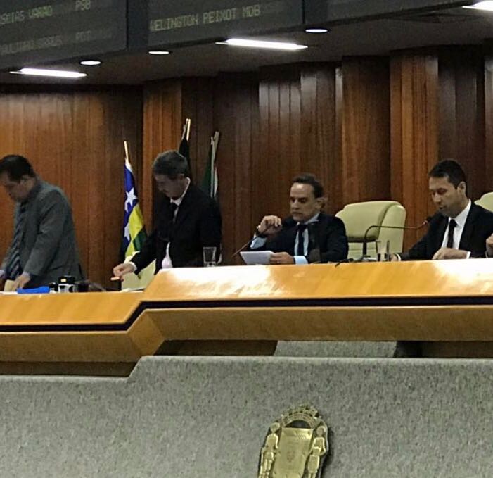 Projeto que proíbe fogos de artifício ruidosos é aprovado em primeira votação na Câmara