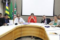 Relatório parcial da CEI da Saúde será entregue à PF