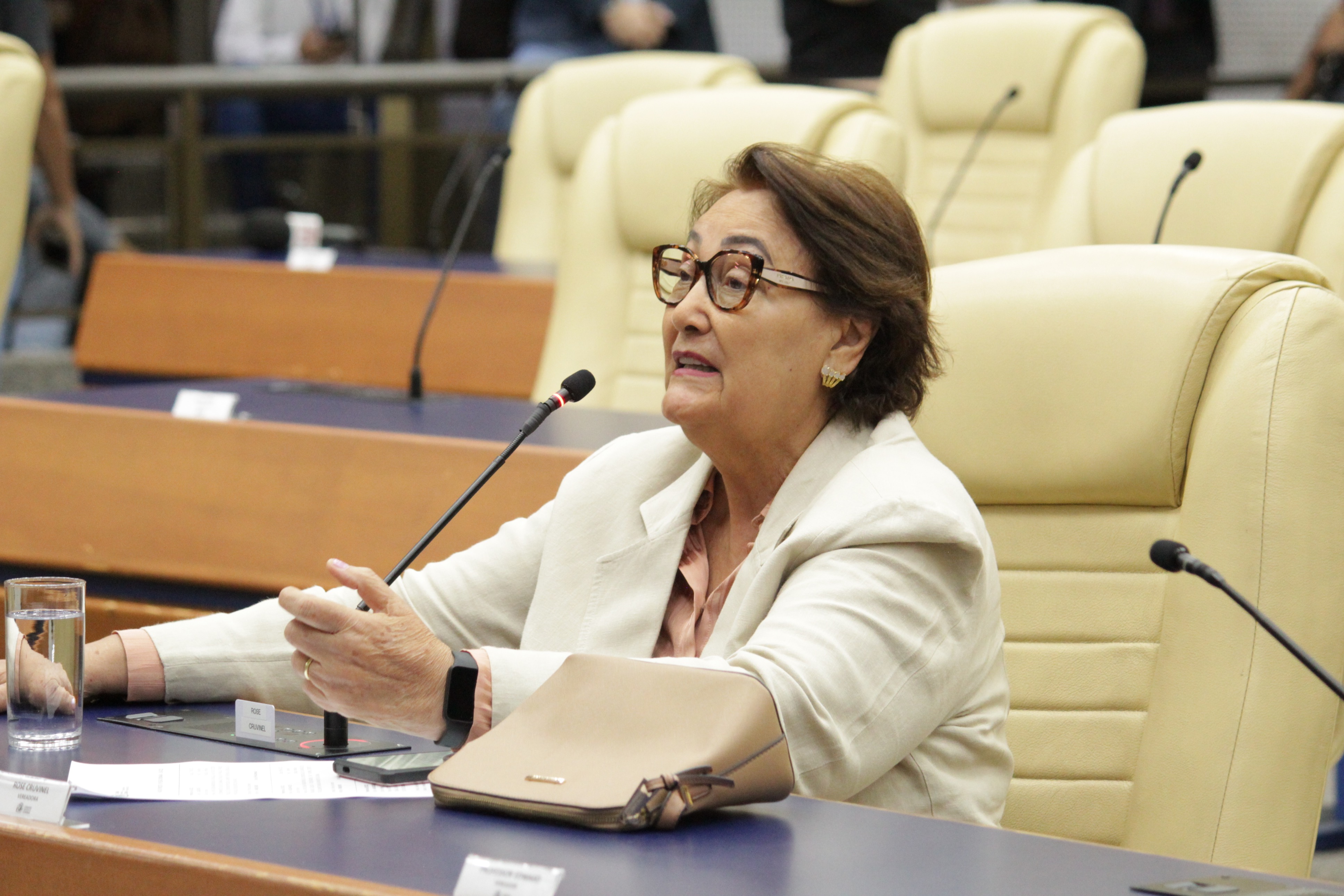 Plenário aprova criação da Plataforma Conecta MEI Goiânia