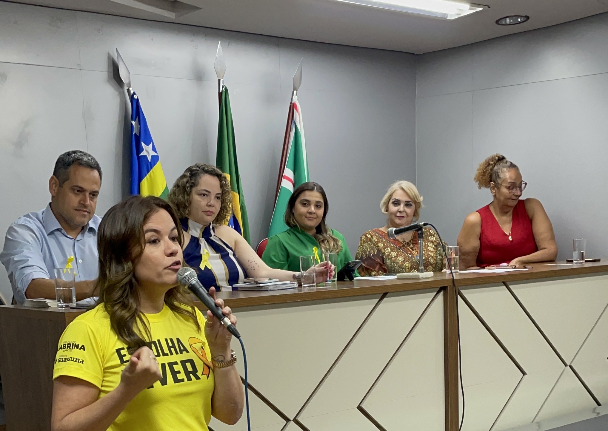 Sabrina Garcez coordena audiência pública em apoio à Campanha Setembro Amarelo