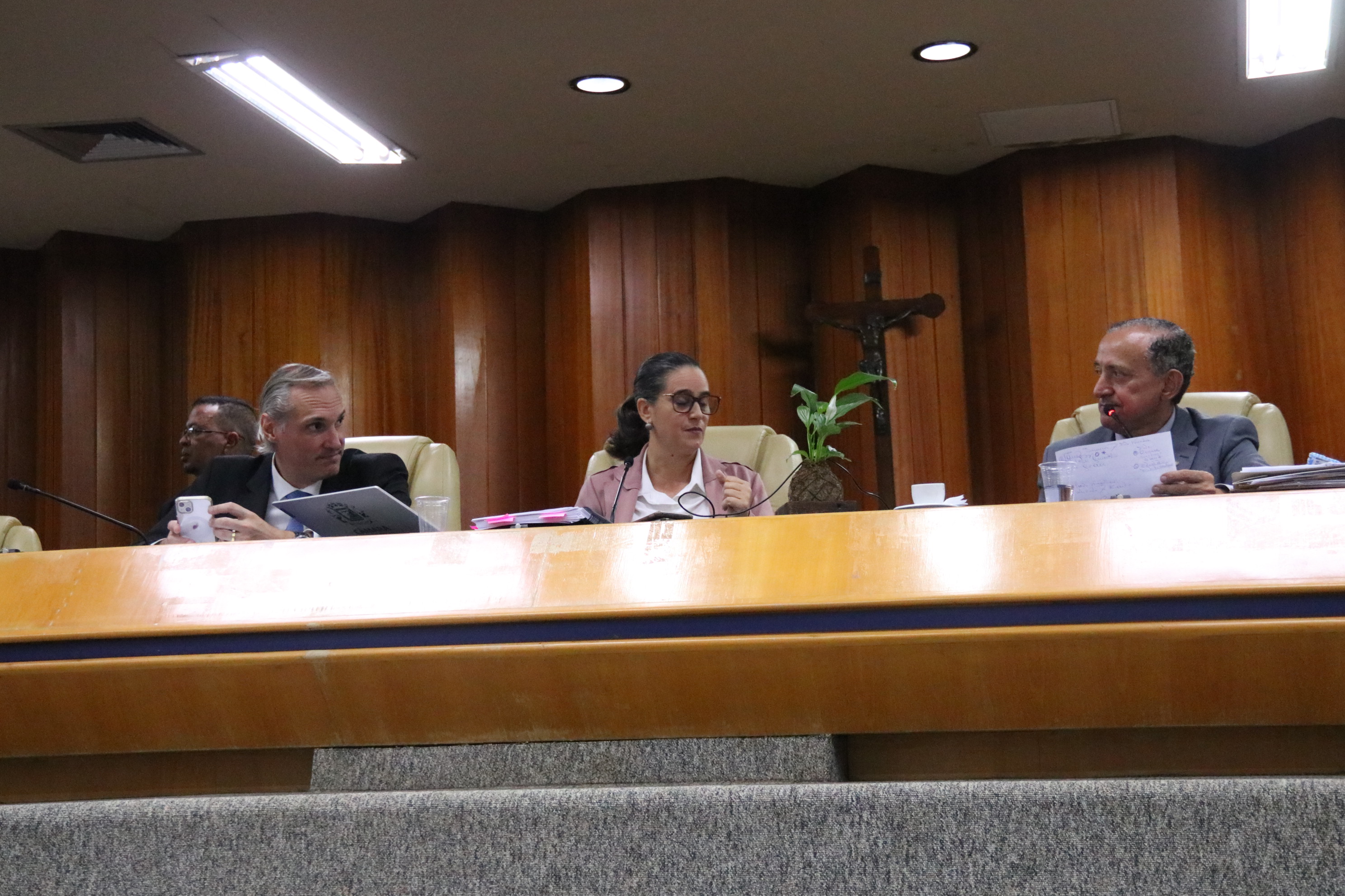 Secretário da Saúde presta contas do setor à Comissão de Saúde da Câmara