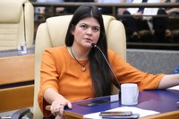 Semana para discutir maternidade atípica é aprovada na CCJ