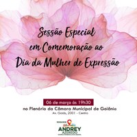 Sessão Especial da Câmara prestará homenagem a mulheres defensoras de causas humanitárias