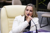 Tutores de animais domésticos sem condição de pagar tratamento terão atendimento gratuito