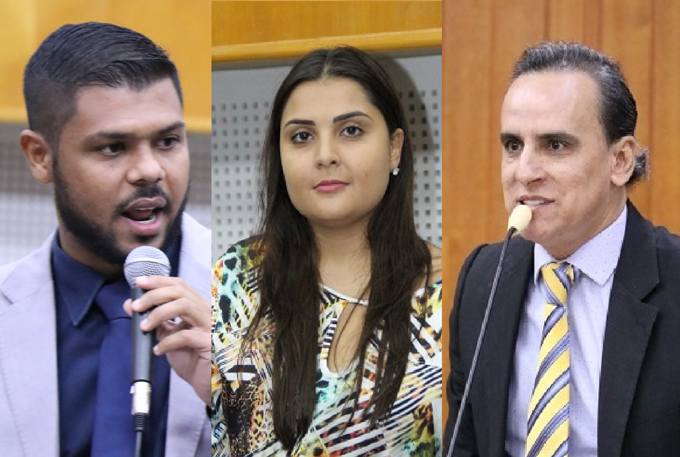 Vereadores apresentam projetos em defesa de animais domésticos e tutores