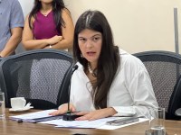 Aava exige glosas, prazos e responsabilização da Seinfra no relatório final da CEI Limpa Gyn