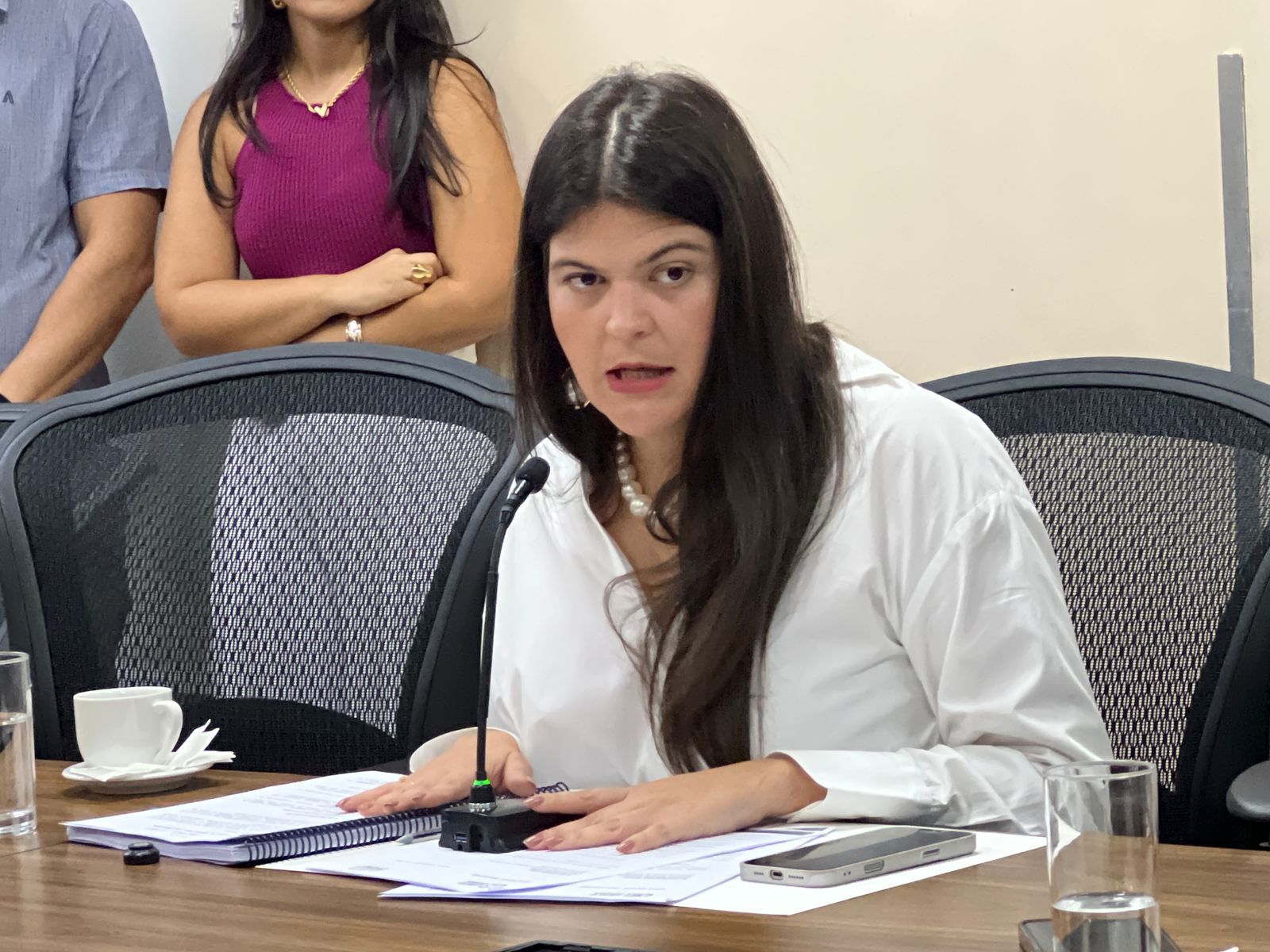 Aava exige glosas, prazos e responsabilização da Seinfra no relatório final da CEI Limpa Gyn