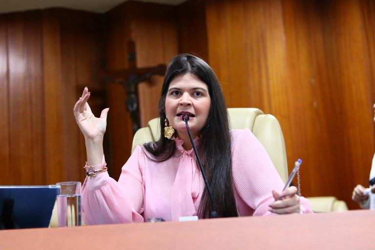 Aava Santiago propõe lei para instalação de bebedouros públicos em Goiânia e acesso gratuito à água potável