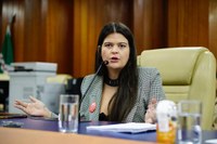 Aava Santiago destaca importância do PL ECOA durante protocolaço nacional