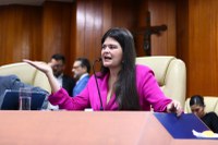 Aava Santiago propõe regulamentação da Feira da Madrugada como alternativa para ambulantes da Região da 44
