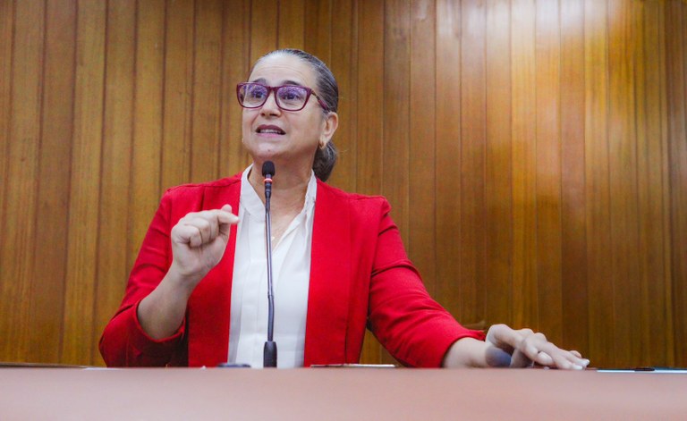 Audiência pública em Goiânia discute terceirização da assistência social sob liderança da vereadora Kátia Audiência pública em Goiânia discute terceirização da assistência social sob liderança da vereadora Kátia