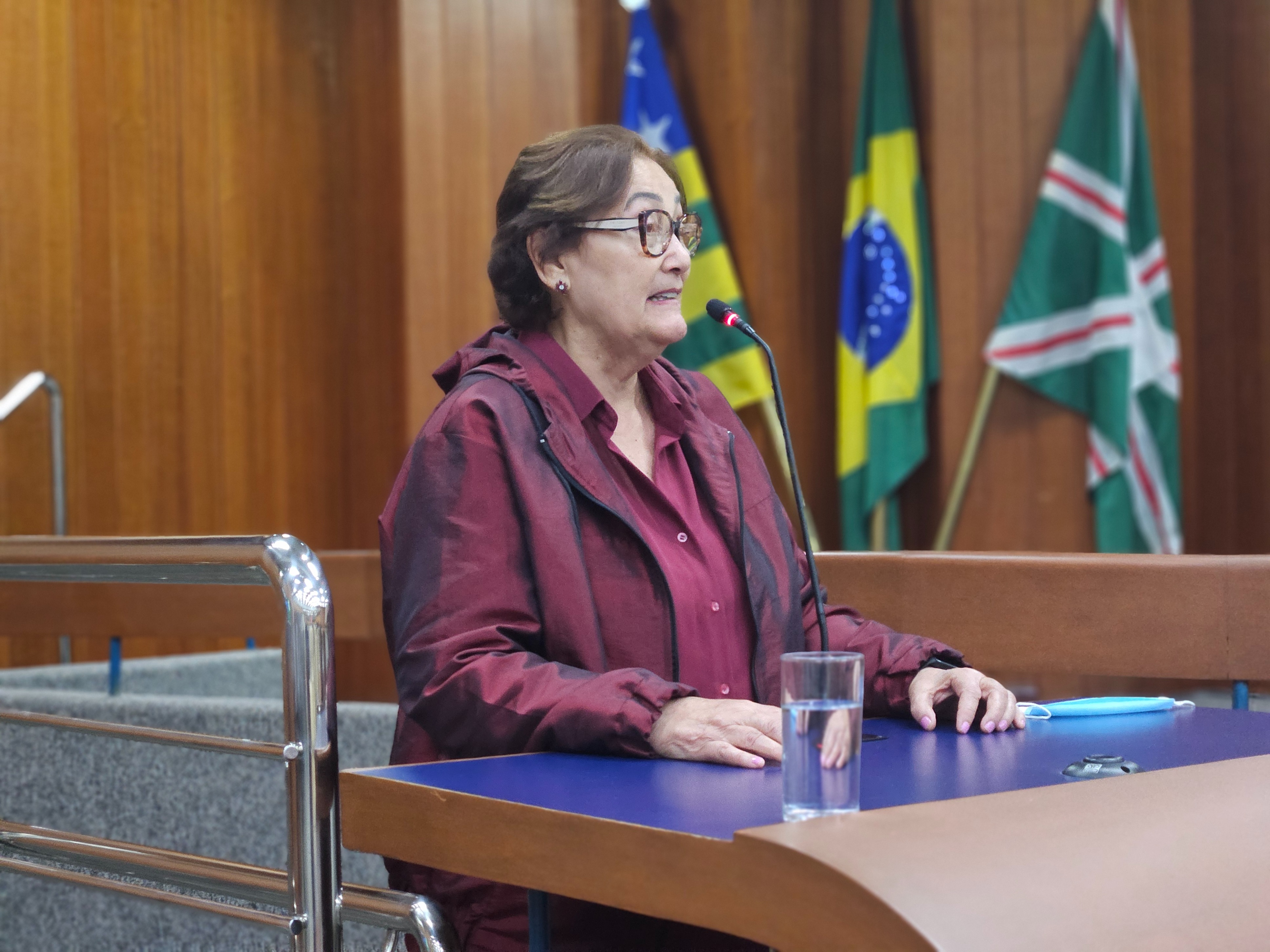 Doutora Rose defende a criação de Portal dos Conselhos Municipais