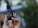 Março Roxo reforça debate sobre epilepsia e uso da cannabis medicinal no tratamento da doença