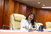 Plenário rejeita veto a projeto de Aava Santiago e garante criação do Selo Solidário Empresa Amiga da Infância Inclusiva