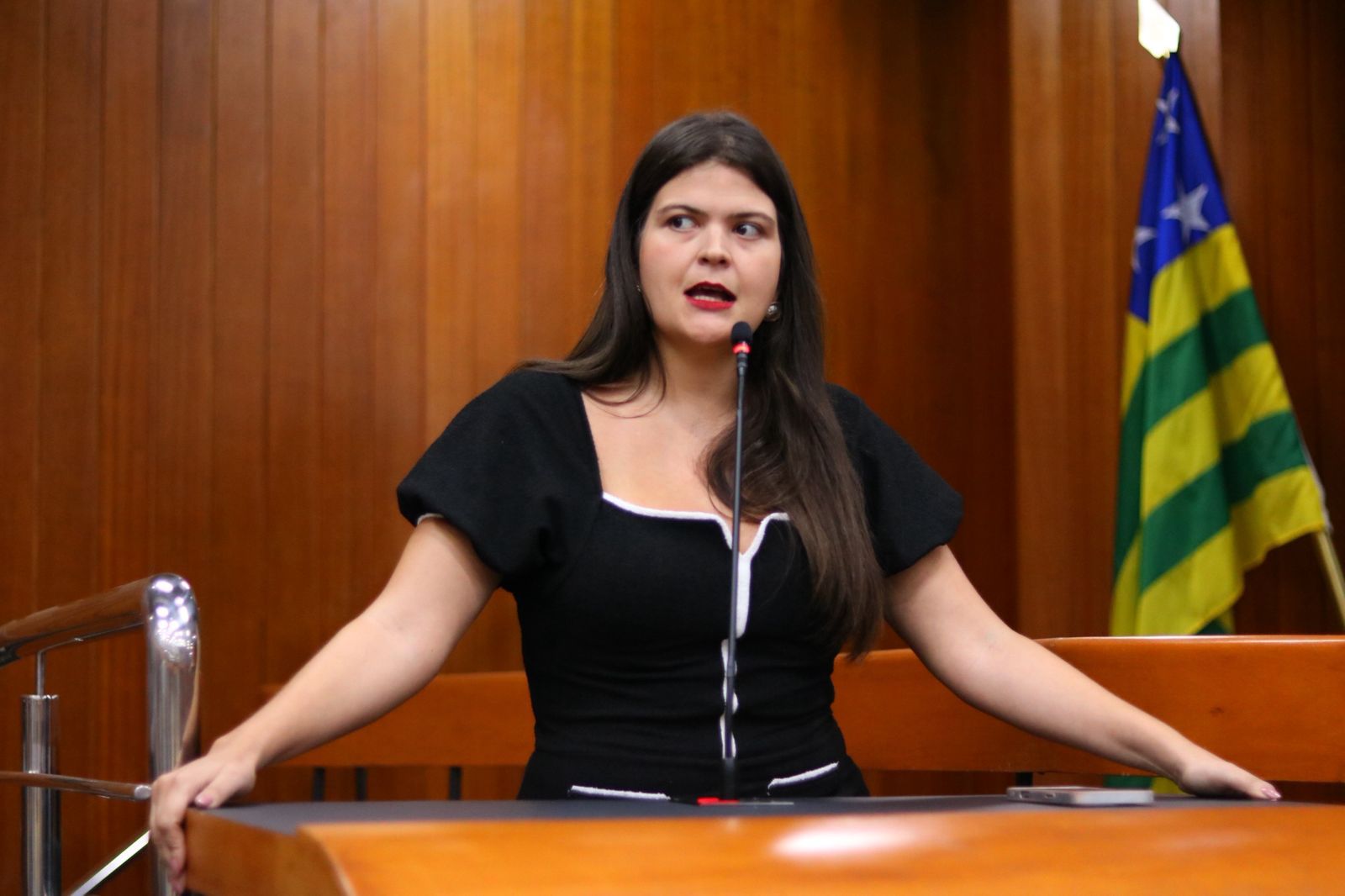 Projeto de Aava Santiago quer obrigar Prefeitura de Goiânia a informar detalhes sobre empréstimos públicos