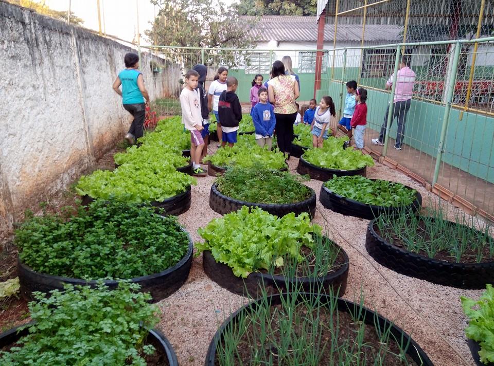 Aprovado projeto que implanta hortas nas escolas