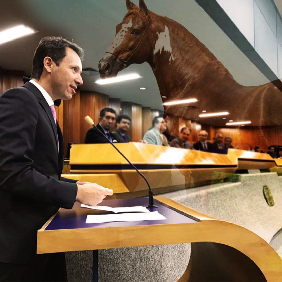 Câmara Municipal homenageia os 30 anos do Núcleo Goiano de Criadores do Cavalo Mangalarga