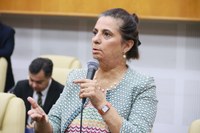Cristina Lopes propõe criação de Programa Grupo Reflexivo