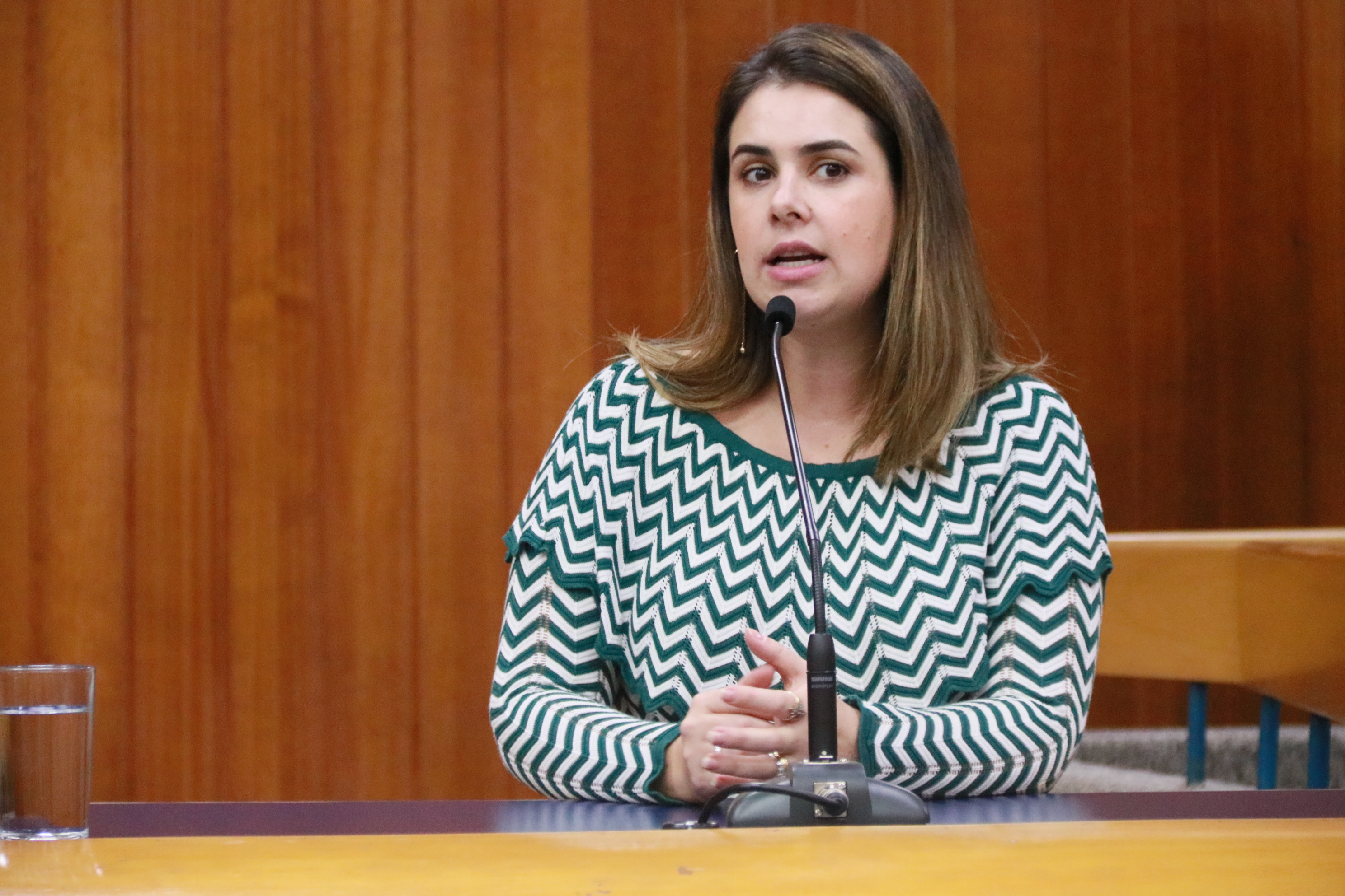 Priscilla Tejota faz balanço de 2019 da Comissão de Saúde e Assistência Social